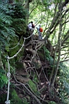 IMG_6188.JPG