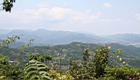 IMG_6216.JPG