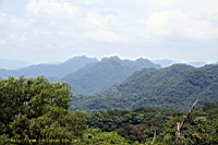 IMG_6230.JPG