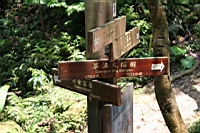 IMG_6232.JPG