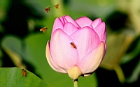 IMG_6392.JPG