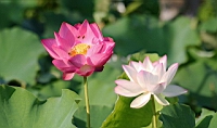 IMG_6395.JPG