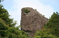 IMG_6530.JPG