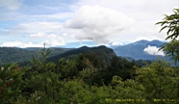 IMG_6532.JPG