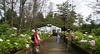 IMG_6554.JPG