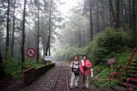 IMG_6569.JPG