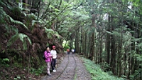 IMG_6635.JPG