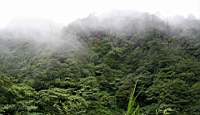 IMG_6637.JPG