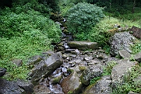 IMG_6638.JPG
