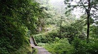 IMG_6642.JPG