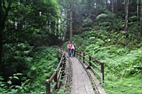 IMG_6647.JPG