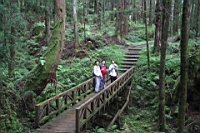 IMG_6651.JPG
