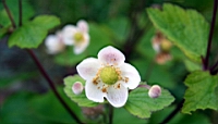 IMG_6739.JPG