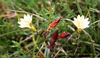 IMG_6746.JPG