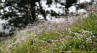 IMG_6749.JPG