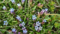 IMG_6752.JPG