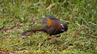 IMG_6768.JPG