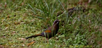IMG_6770.JPG
