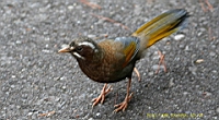 IMG_6777.JPG