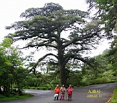 IMG_6779M.JPG