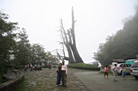IMG_6788.JPG