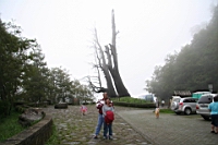 IMG_6789.JPG