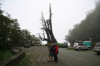 IMG_6790.JPG