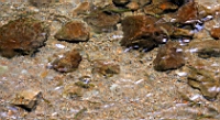 IMG_6832.JPG