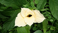 IMG_6838.JPG