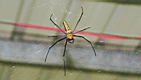 IMG_6846.JPG