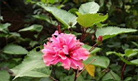 IMG_6852.JPG