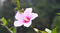 IMG_6854.JPG