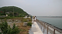 IMG_6882.JPG