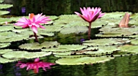 IMG_6900.JPG