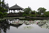 IMG_6904.JPG