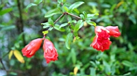 IMG_6921.JPG