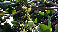 IMG_7105.JPG