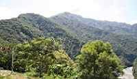 IMG_7133.JPG