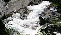IMG_7146.JPG