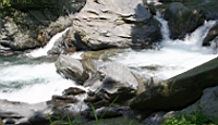 IMG_7150.JPG