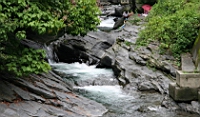 IMG_7155.JPG