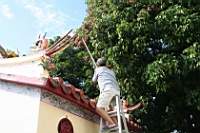 IMG_7193.JPG