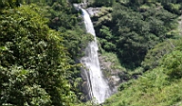 IMG_7202.JPG