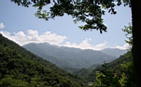 IMG_7203.JPG