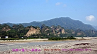 IMG_7229.JPG