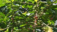 IMG_7237.JPG