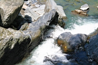 IMG_7242.JPG