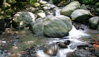 IMG_7244.JPG