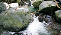 IMG_7245.JPG