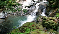 IMG_7249.JPG
